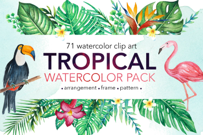 TROPICAL Watercolor clip art pack