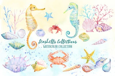 Watercolor Clipart Seashell Collection