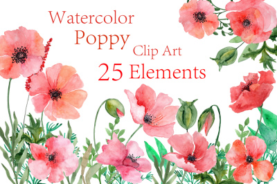 Watercolor Poppy flowers clipart 