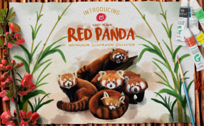 Red Panda Watercolor Illustration