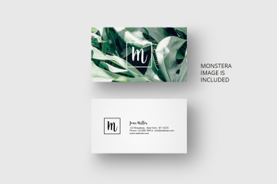 Business card template with monstera