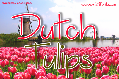 Dutch Tulips