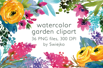 Watercolor flowers, ranunculus