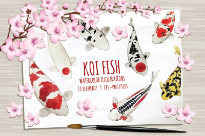 Koi Fish in Watercolor