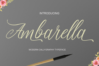 Ambarella Font Duo
