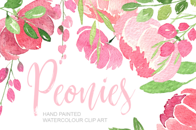 Pink watercolour peonies PNG clipart