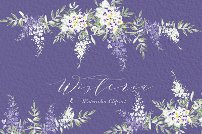 Wisteria wedding watercolor clipart