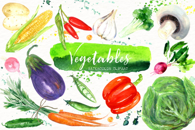 Vegetables. Watercolor clipart.