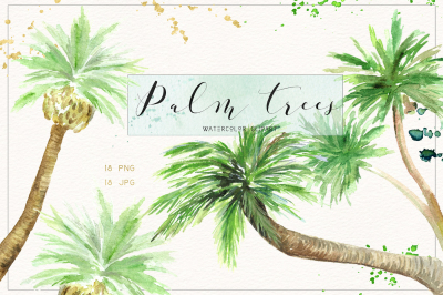 Palm tree. Watercolor clipart.