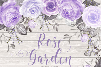 Watercolor rose garden purple