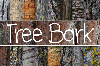 Tree Bark Textures Digital Paper