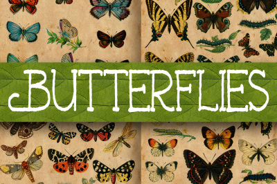 Vintage Butterfly Scientific Plates Digital Paper