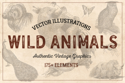 176 Vintage Wild Animals (Vector)