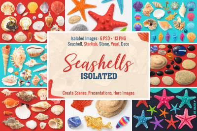 Isolated Seashells & Stones