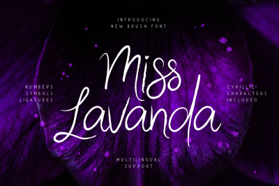 Miss Lavanda