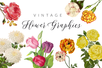 Vintage Flower Illustrations