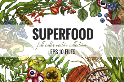 Superfood, vector collection.