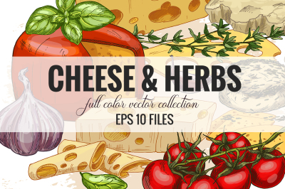 Cheese & Herbs, vector collection.