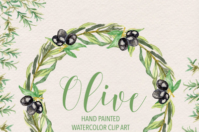 Watercolor Olive clipart