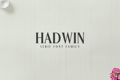 Hadwin A Serif Font Family