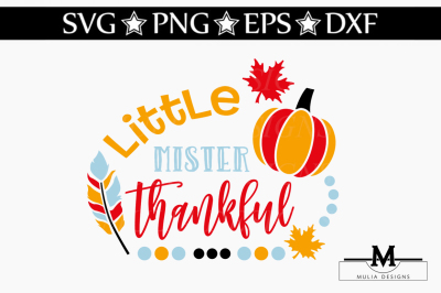 Little mister Thankful SVG