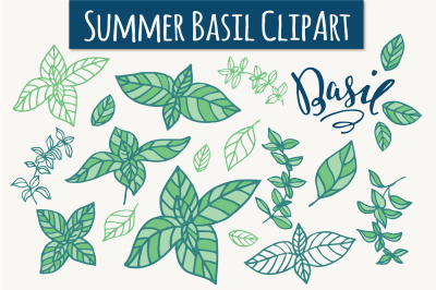 Summer Basil ClipArt & Vectors