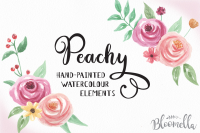 Watercolour Floral Clip Art Hand Painted Peachy Flower Elements 
