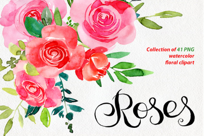 Red & pink watercolor roses PNG