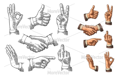 Male Hand sign. Like, Handshake, Ok, Stop, Middle finger up, Victory, Pointing gesture