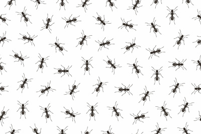 Seamless pattern ants