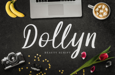 Dollyn Script - Casual Playful Font