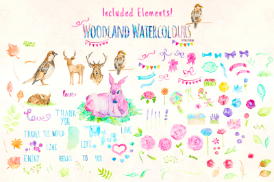 Watercolor Animal and Flowers Bundle