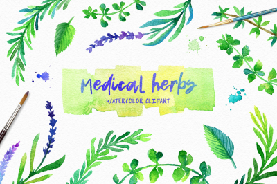 Healing herbs. Watercolor illustration.