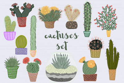 Cactuses set
