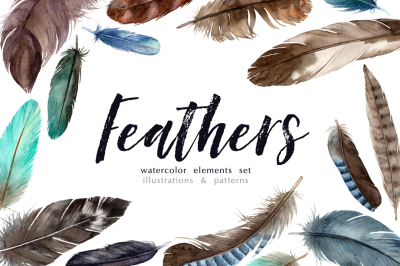 Feathers. Watercolor elements and seamless patterns