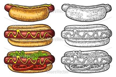Hotdog with tomato, mustard, leave lettuce. Top and side view.