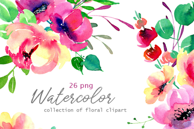 Bright watercolor flowers set