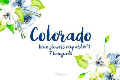 Blue bouquets set #1 ''Colorado''