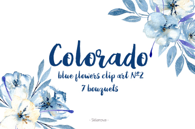 Winter bouquets set #2 ''Colorado''