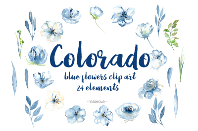 Floral elements set ''Colorado''