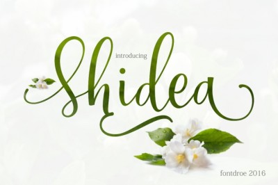 Shidea