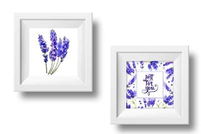 Lavender PNG flowers in watercolor