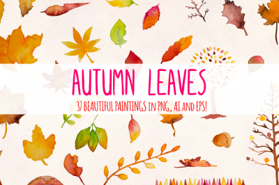 Autumn Leaves 37 Watercolor Elements