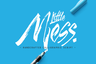 Little Mess font