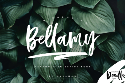 Bellamy Script