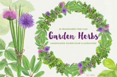 Herb Garden Watercolor Illustrations