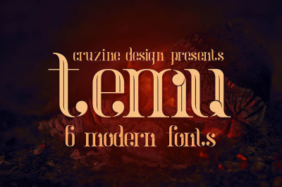 temu - Modern Font