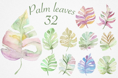 Palm leaves collection