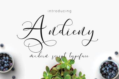 Andieny Typeface