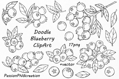 Doodle blueberry clipart, Digital floral clip art, Branches Clipart